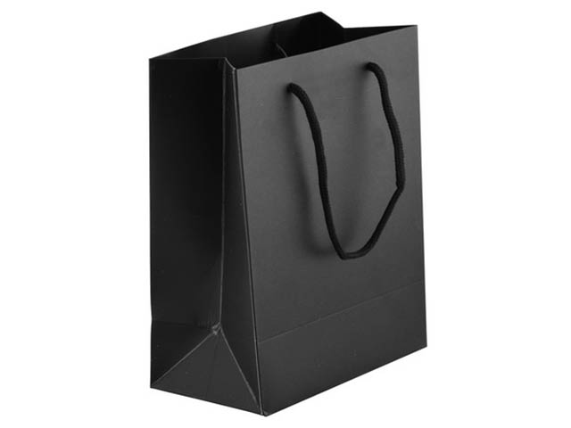 230Gsm Matte Gift Bag - 33Cm