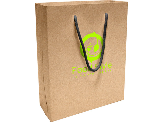 Arya Eco Gift Bag with 1 col 260(w) 320(h) 100(d)