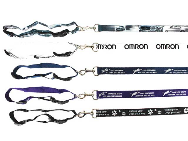 Bailey Dog Leash And Collar