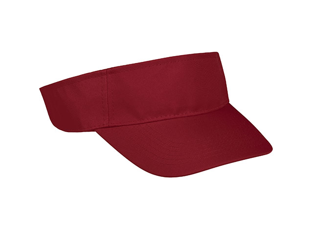 Basic Sun Visor