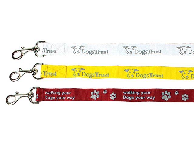 Buddy Dog Leash