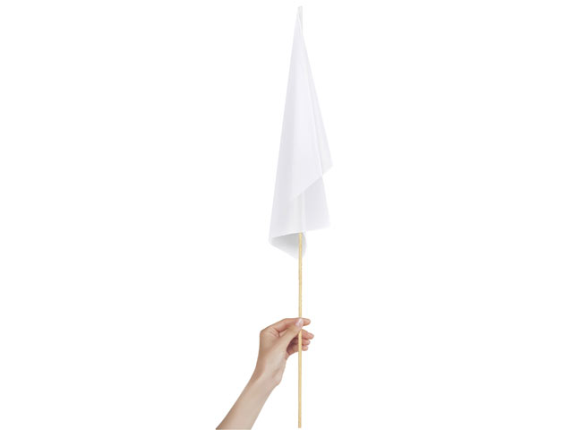 HAP_Champion-Medium-Hand-Flag-450mm-x-300mm-HelloAfricaPromoPDCGUDH-HZ65W-1