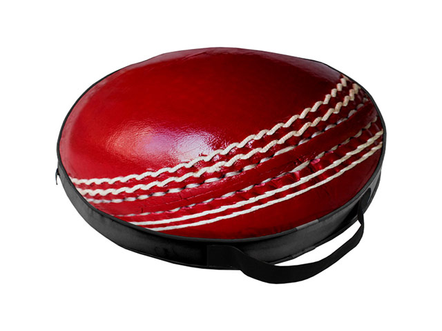 Cricket Stadium Cushion with FC Print