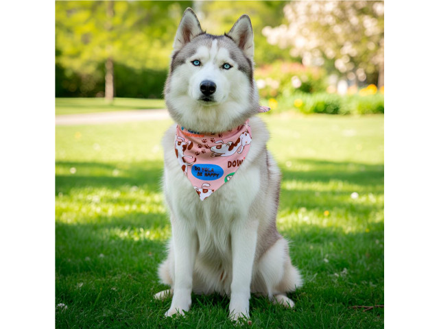HAP_Hoppla-Bosco-Large-Polyester-Dog-Bandana-HelloAfricaPromoPDC11245H-9H6UV-1