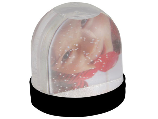 Picture Snow Globe